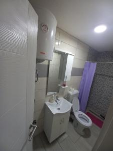 La salle de bains est pourvue de toilettes, d'un lavabo et d'une douche. dans l'établissement SOBE CICKO, à Bosansko Petrovo Selo