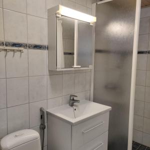 uma casa de banho com um lavatório, um WC e um espelho. em Studio Linnankatu 25 em Savonlinna