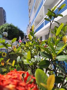 Kebun di luar BEIRA MAR I - TUPI - 15 metros da praia - 2 dormitórios com VARANDA - WI FI e acomoda até 8 pessoas - ESTACIONAMENTO Gratuito