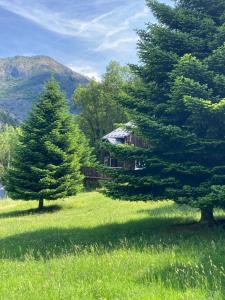 una casa in mezzo a un campo con due alberi di Chalets les tutes de la Vernière a Auzat