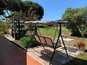 una silla bajo una sombrilla en un jardín en Villa Isabella en Marina di Grosseto