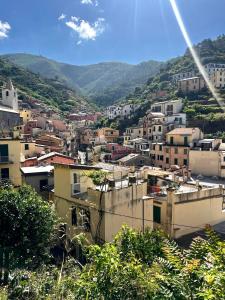 uitzicht op een stad met gebouwen en bergen bij Casa Camilla in Riomaggiore