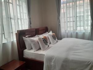 Tempat tidur dalam kamar di Villa Home Apartment Dodoma