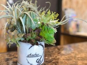 Una lata blanca con plantas en una mesa. en Anchor en Fukue