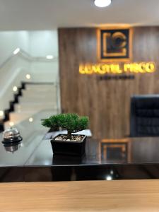 Lobi atau kawasan kaunter penerimaan di Hotel LUXOTEL PISCO