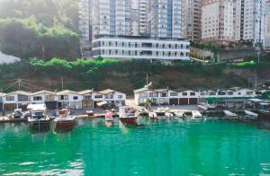 een groep boten in een waterlichaam met gebouwen bij Royal Comfort Hotel in Trabzon