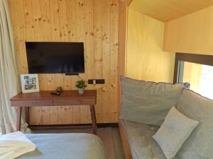 Телевизия и/или развлекателен център в 1 CHALET SkiRelax JASNÁ