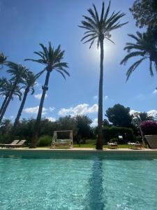 una piscina con palmeras y un columpio en Pink Lemon House en Elche