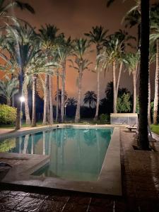 una piscina con palmeras por la noche en Pink Lemon House en Elche