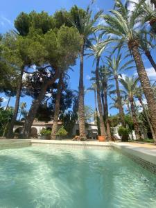 una piscina con palmeras en el fondo en Pink Lemon House en Elche