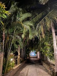 un tunnel di palme su una strada di notte di Palm Green Hotel a Kuta Lombok