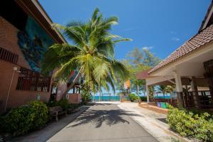 una palmera en medio de una calle en หาดทรายขาวรีสอร์ท en Bang Saphan