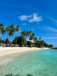 - une plage avec des palmiers et de l'eau turquoise dans l'établissement Met House, à Thulusdhoo