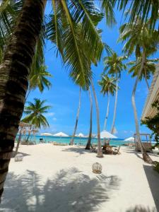 - une plage avec des palmiers et l'océan dans l'établissement Met House, à Thulusdhoo