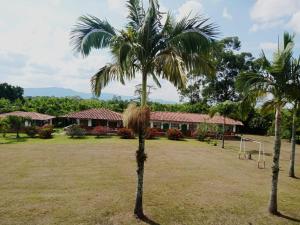 deux palmiers devant une maison dans l'établissement Hotel campestre manantial del Quindio, à Montenegro