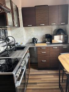 Apartament "U OLI" 주방 또는 간이 주방