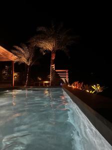 una piscina por la noche con dos palmeras en Villa Nagabaaja en Saint Barthelemy