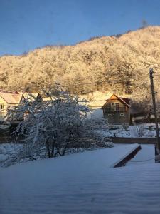 una casa è coperta di neve di fronte a una montagna di Біля комори a Pilipets