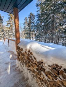 CHALET MISTA - Charlevoix - Repère de ski moderne en nature في Saint-Tite-des-Caps: جدار حجري مغطى بالثلج مع اشجار في الخلفية