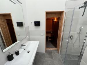 y baño con lavabo y ducha. en Ferienhaus Auszeit mit Sauna en Schwarz