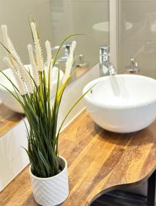 La salle de bains est pourvue d'un lavabo et d'une plante sur une table. dans l'établissement Appart design, plein centre Marseille, à Marseille