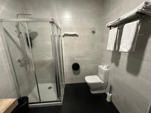 ein Bad mit einer Dusche und einem WC in der Unterkunft Apartamentos R&K 26B in Bilbao