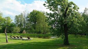 una fila de bancos en un parque con un árbol en Ferienhaus Spreewaldnostalgie en Burg