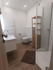 y baño con aseo, lavabo y ducha. en Apartmenthaus Atlantik en Kühlungsborn