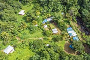 una vista aérea de una granja con tiendas en el bosque en 3 Rivers Eco Lodge en Rosalie