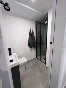 a bathroom with a shower and a toilet and a sink at Apartamento Chic Centro in Dos Hermanas