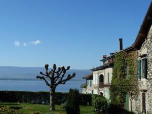 Paesaggio naturale nelle vicinanze della casa vacanze