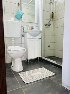 a bathroom with a toilet and a sink and a shower at Log cabin 