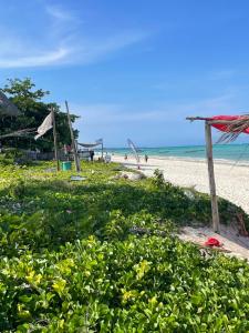 een strand met een bos planten op het strand bij Lekker Lodge & Restaurant in Jambiani