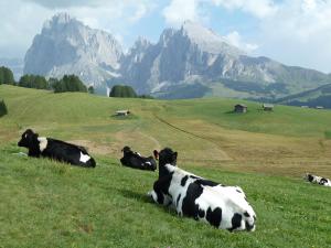 Paesaggio naturale nelle vicinanze dell'hotel