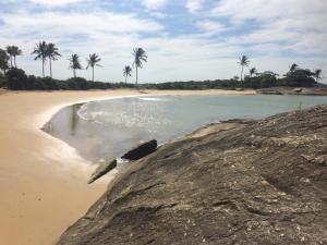 a sandy beach with palm trees in the background at Recanto da Vovó com Bike in Vitória