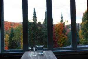 uma mesa em frente a uma janela com vista para as árvores em Chalets et Studios Le Vent Du Nord em Lac Supérieur