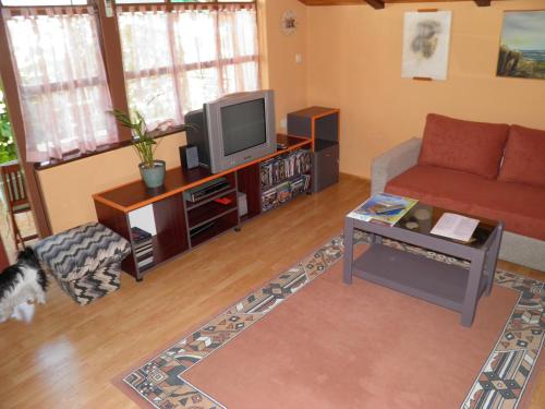 Een TV en/of entertainmentcenter bij Apartman Mia Biograd
