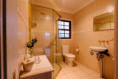 y baño con aseo, ducha y lavamanos. en Barrington Hideaway- River Cottages, en Gloucester