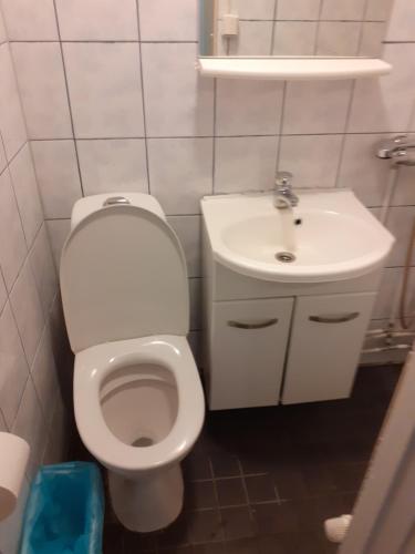 a bathroom with a toilet and a sink at huoneisto 2 in Savonlinna