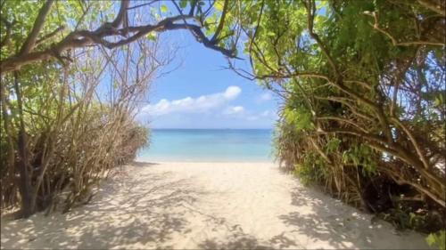 - une plage avec vue sur l'océan dans l'établissement Thành Trinh hotel đảo Phú Quý, à Cu Lao Thu