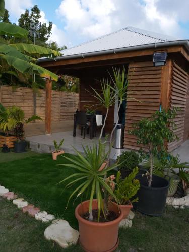 un jardín con plantas frente a una cabaña en An Ti Kaz La en Sainte-Anne