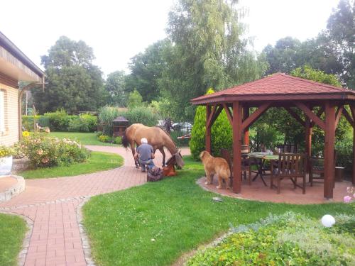 Gallery image of Doppelzimmer im Spreewald in Burg