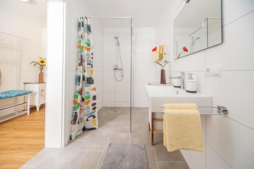 bagno con lavandino e doccia di Cityapartment Dornbirn 50 qm a Dornbirn