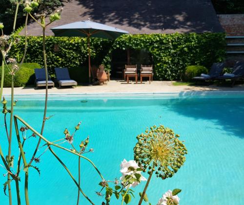 The swimming pool at or close to Le Bocage Fleuri