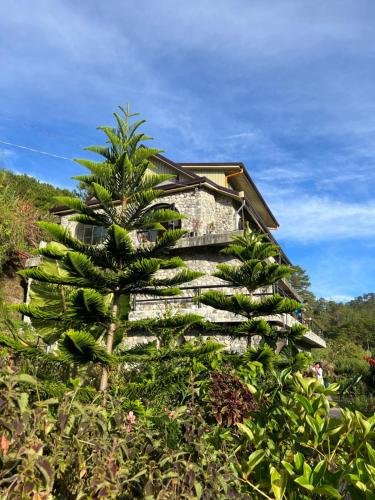 una palmera frente a una casa en The Shire of Sagada en Sagada