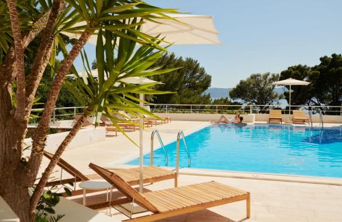 een zwembad met stoelen en een palmboom ernaast bij Bluesun Hotel Maestral in Brela