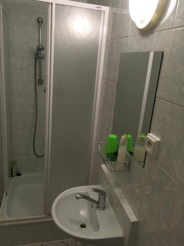 een badkamer met een wastafel, een douche en een spiegel bij Chalupa pod lipami in Terchová