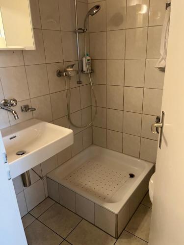 Kupatilo u objektu Flat Speicher St. Gallen