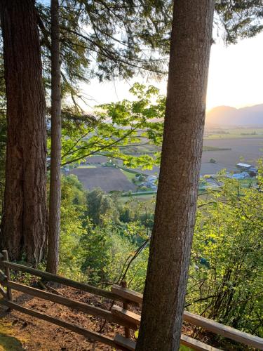 Tiny House Big View