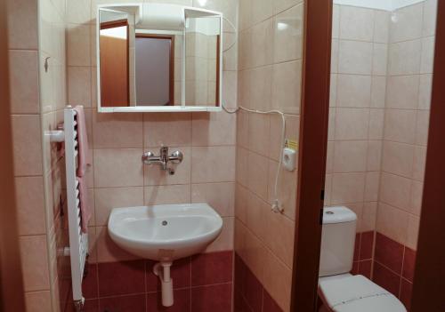 y baño con lavabo, aseo y espejo. en Penzion Willa, en Jihlava